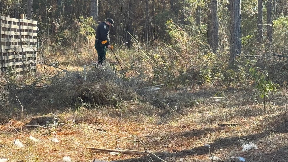 The animals were discovered at Steadfast Wildlife Rehab, a nonprofit facility dedicated to...
