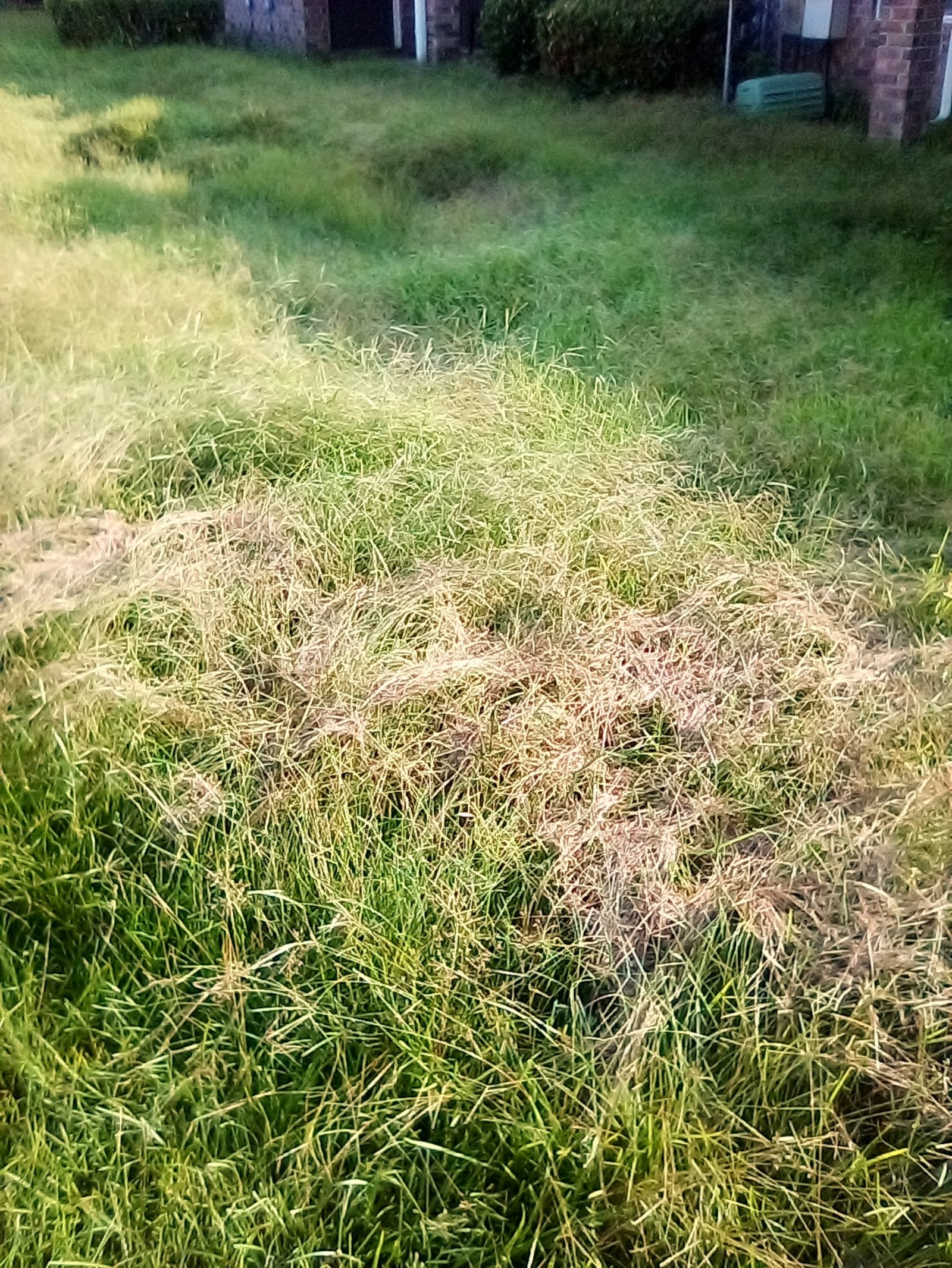 ‘My water has been shut off for two months’: Moultrie public housing residents demand action...