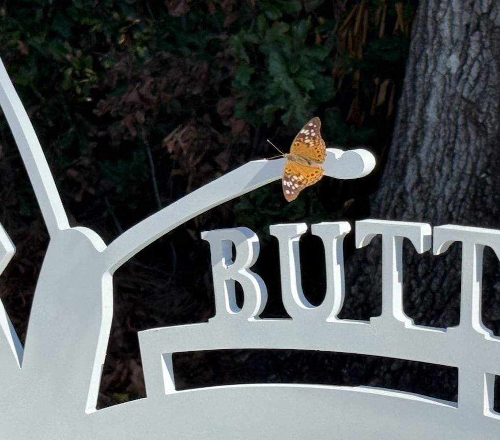 SGTC welding students help create butterfly bench honoring Rosalynn Carter