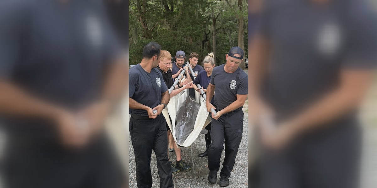 Dolphin named “Lucky” rescued from Bluffton lagoon
