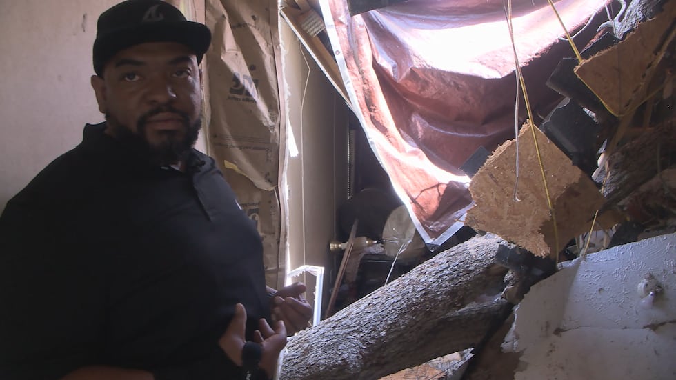 Albany man says he narrowly escaped serious injury when a tornado sent a large tree crashing...