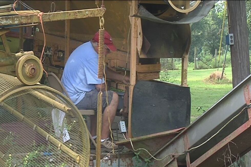 Workers are working swiftly to restock A.W. Gill's produce