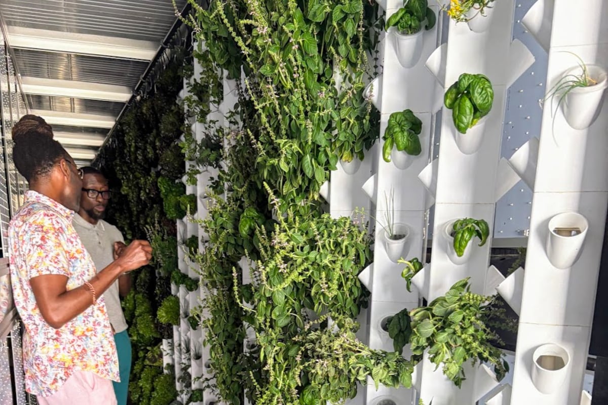 preloaded gallery image