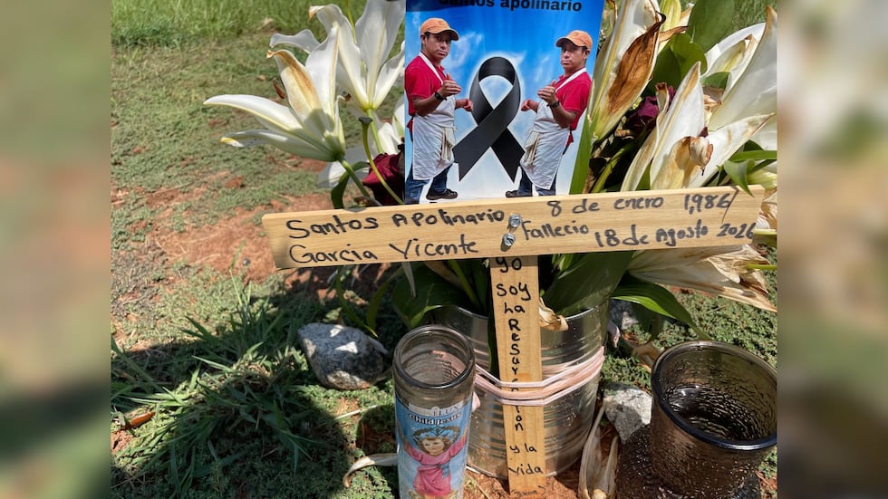 Over $10,000 raised for Albany bike crash victim