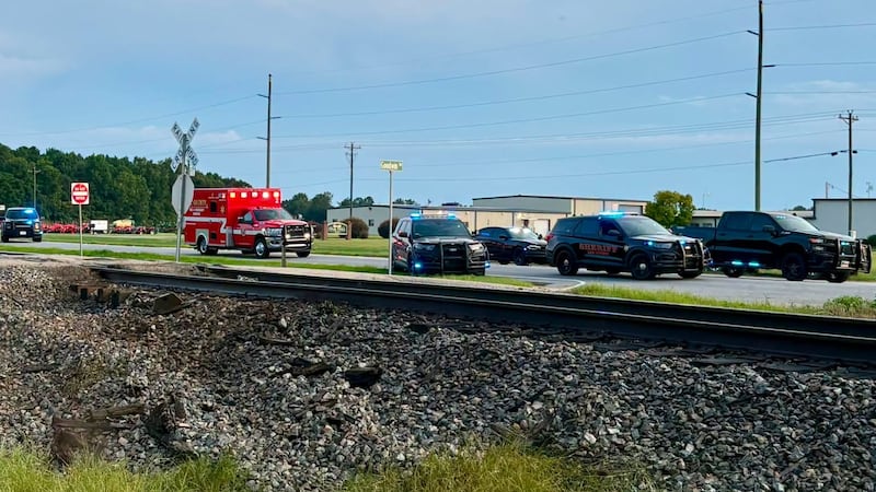 Lee County U.S. 19 North crash