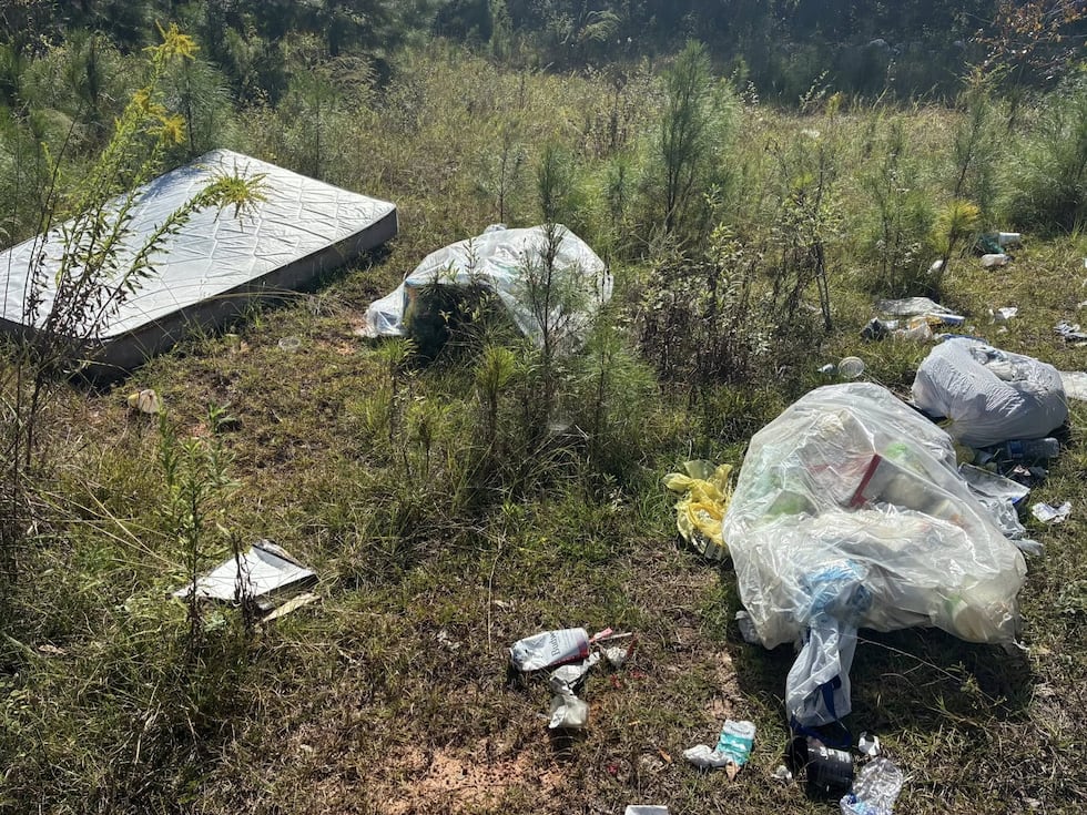Vandalism and Illegal Dumping in Albany