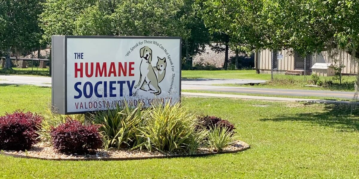 Moody Air Force bases volunteers with humane society