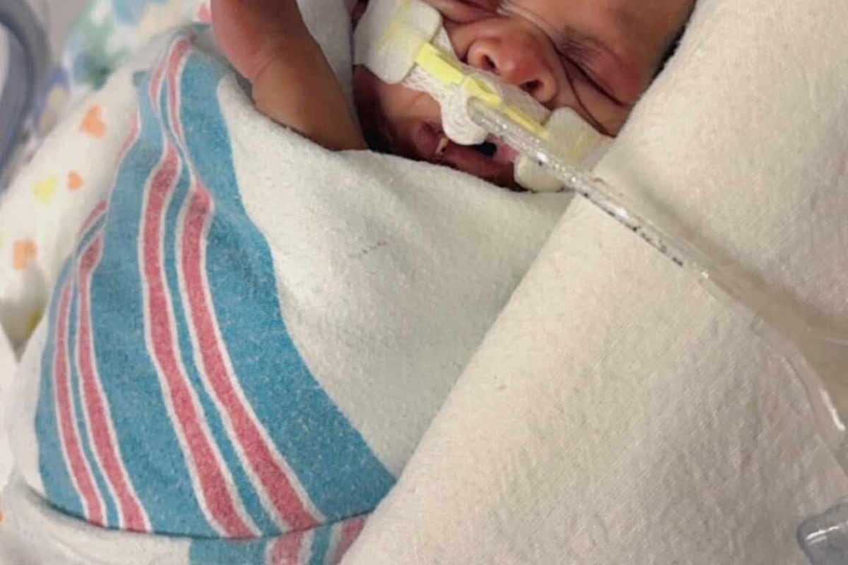 preloaded gallery image