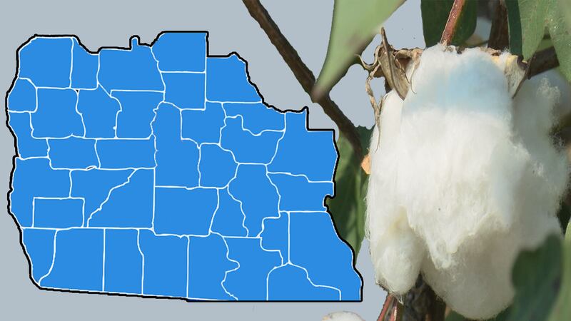 A number of counties in the WALB viewing area are among the top producers of cotton in Georgia.