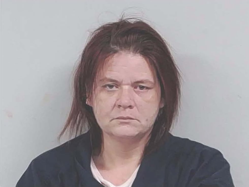 Traffic stop leads to felony arrest in Echols County