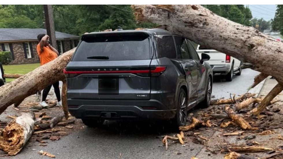 ‘Someone could’ve been killed’: Tree falling on car fuels concerns in Valdosta