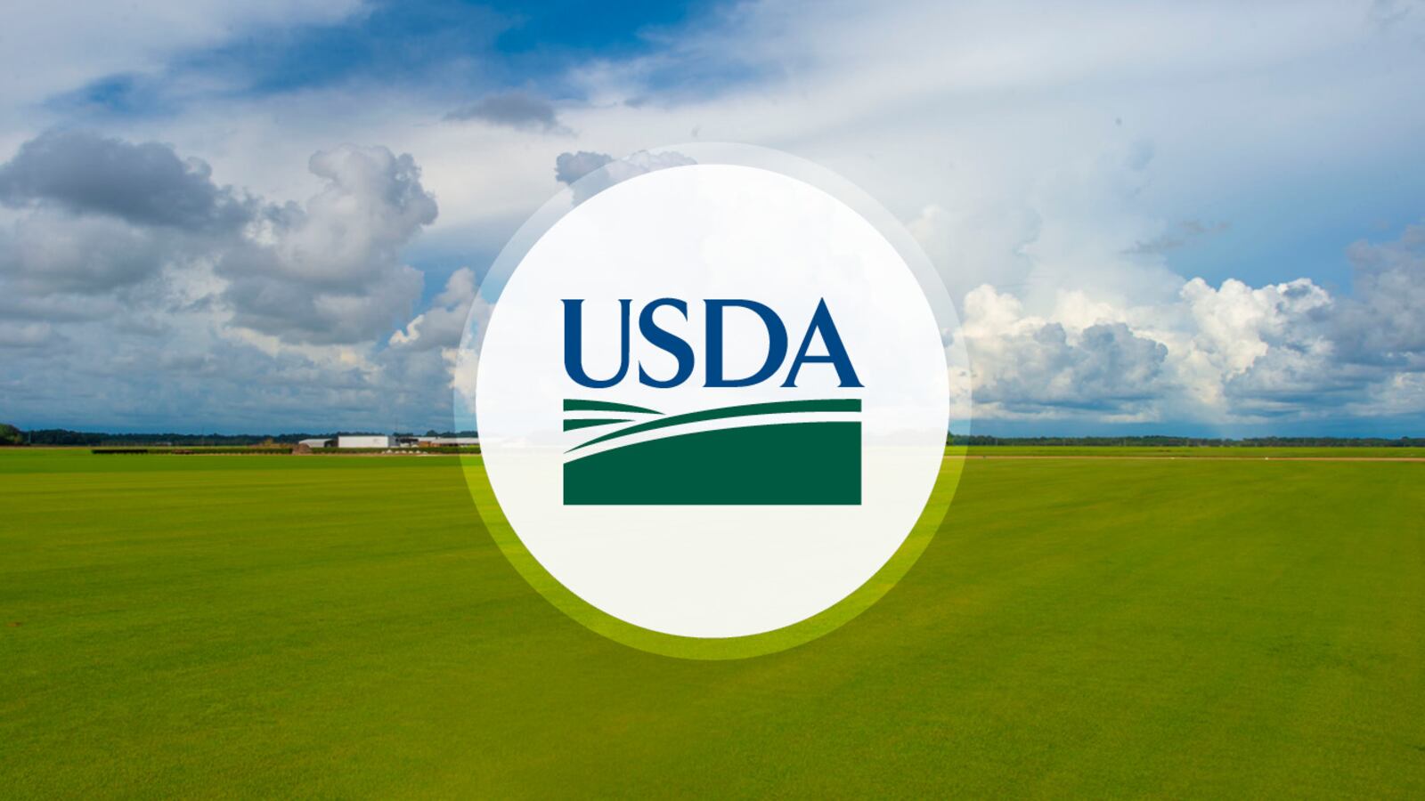 USDA awards Rural Business Development grants to Ga. cities