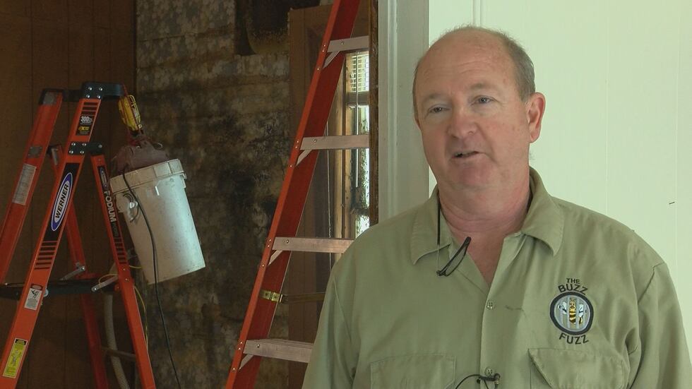 The Buzz Fuzz Owner Dale Richter (Source: WALB)