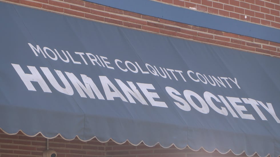 Parvovirus exposure forces local puppy care facility to temporarily shut down