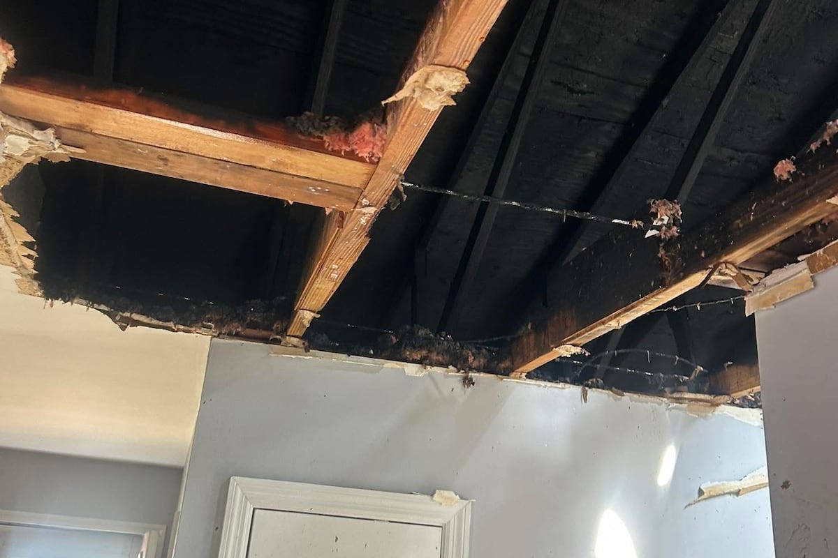 preloaded gallery image