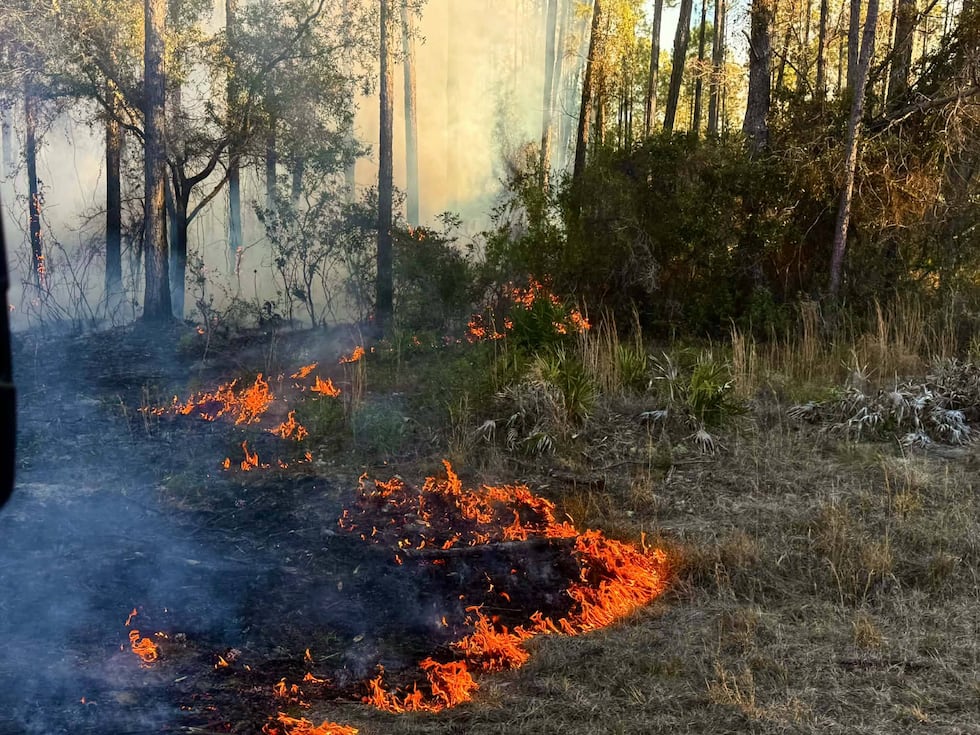 South Georgia firefighters battle 9 separate fires in one city