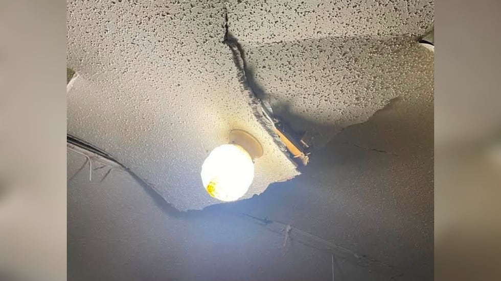 Valdosta woman says tree service dropped tree on her home, then disappeared
