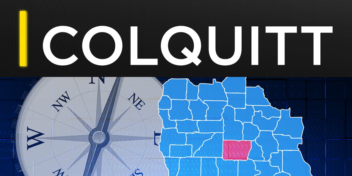 Colquitt Co. approves 8-year airport authority audit after WALB T-SPLOST report