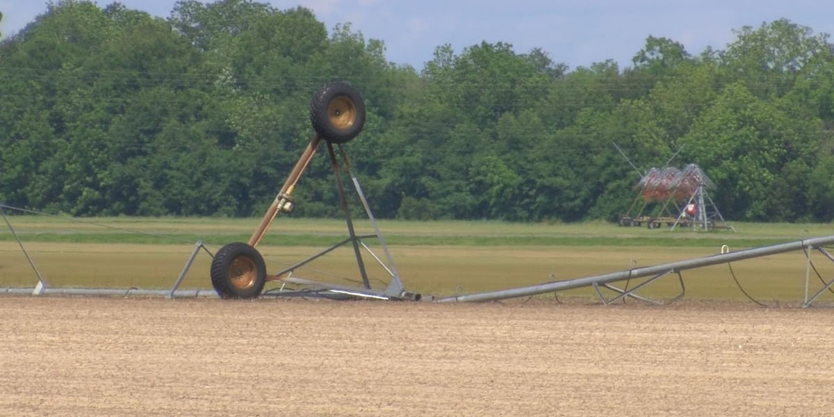 Storm damages irrigation pivot, trees near Cook Co. business