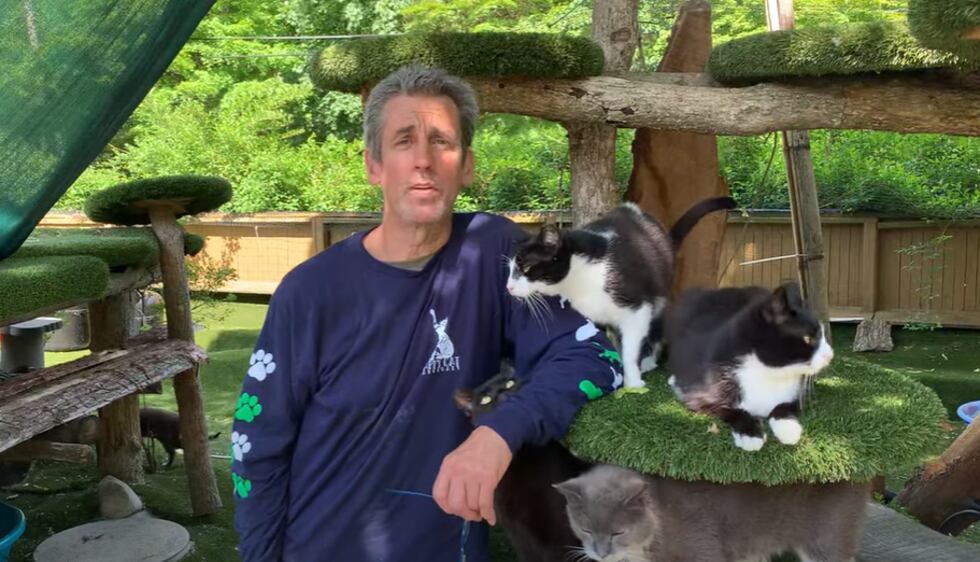 Devastating fire at cat sanctuary kills founder and at least 100 cats