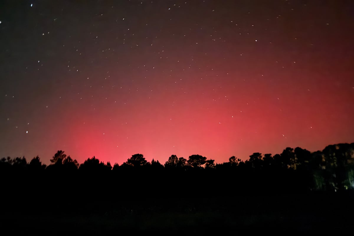 preloaded gallery image