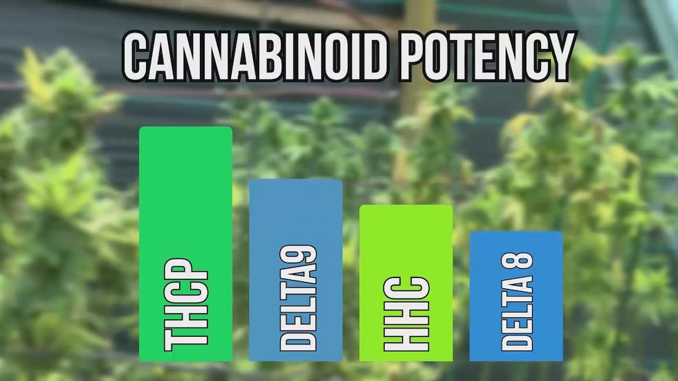 Going Green, Part 2: Cannabinoids