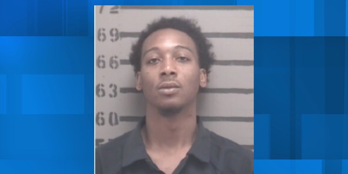 Ben Rimes Albany man arrested, charged after leading Georgia State Patrol ...