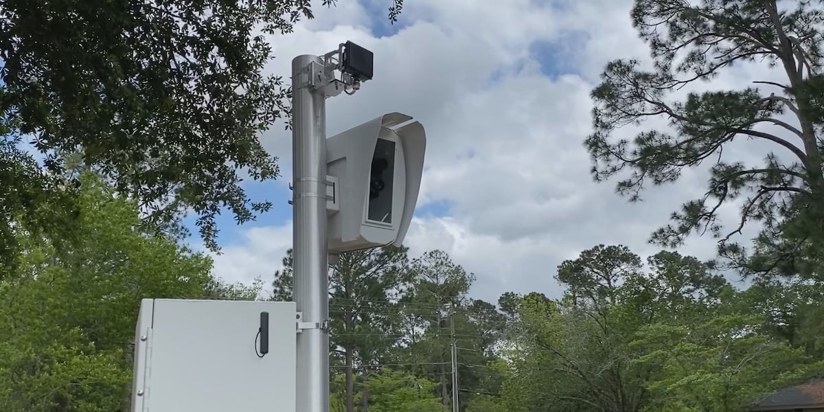 Albany speed cameras have collected over $4M in citations. Here’s which ...