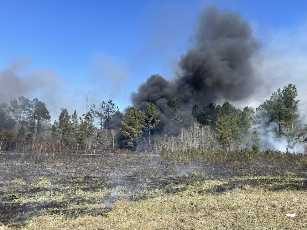 Smoke rises from a early 2026 Lowndes county wildfire