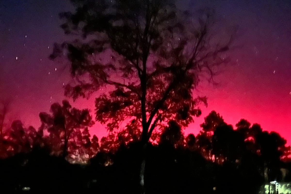 preloaded gallery image