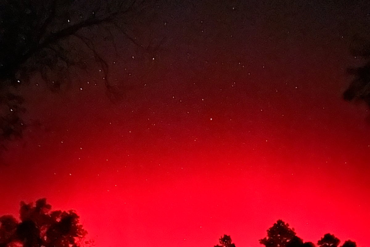 preloaded gallery image