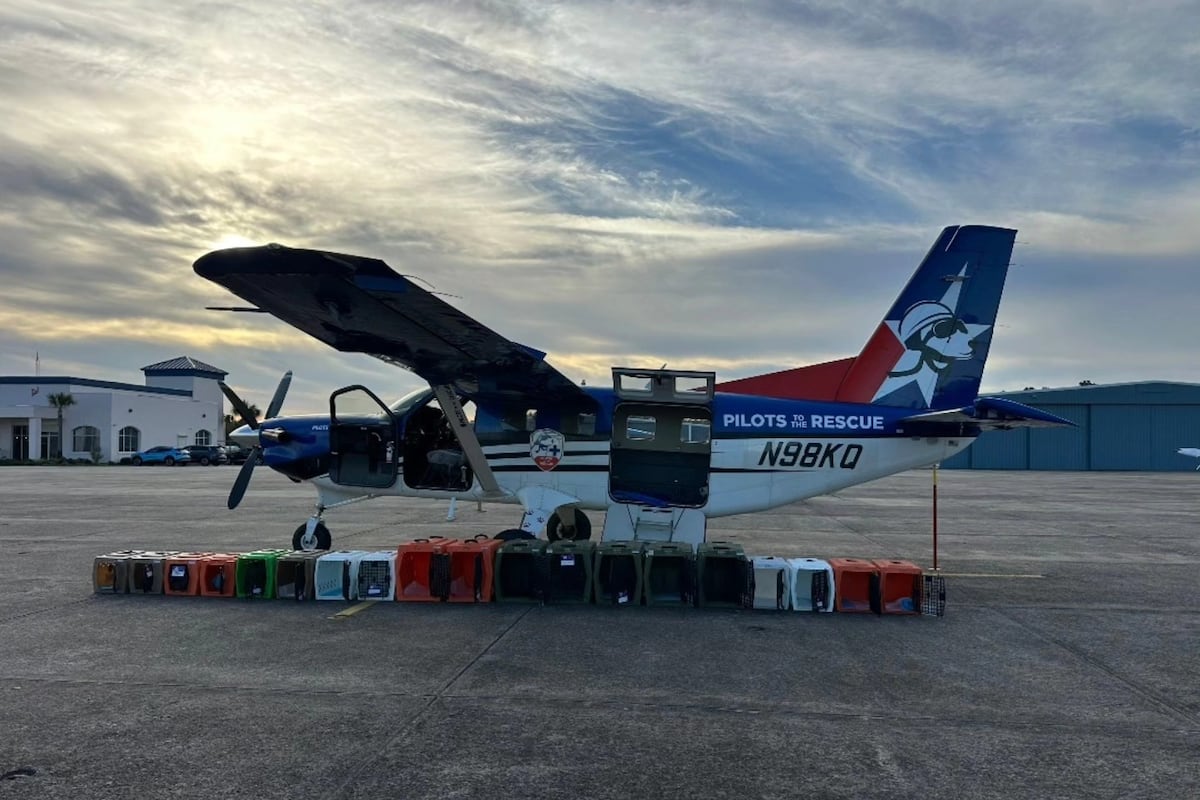 preloaded gallery image