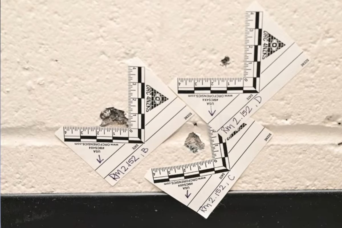 preloaded gallery image