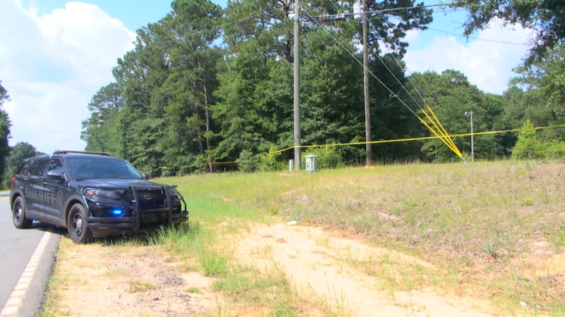 A Webster County Sheriff's Office vehicle sits along a roadside in Preston, Georgia, as yellow...