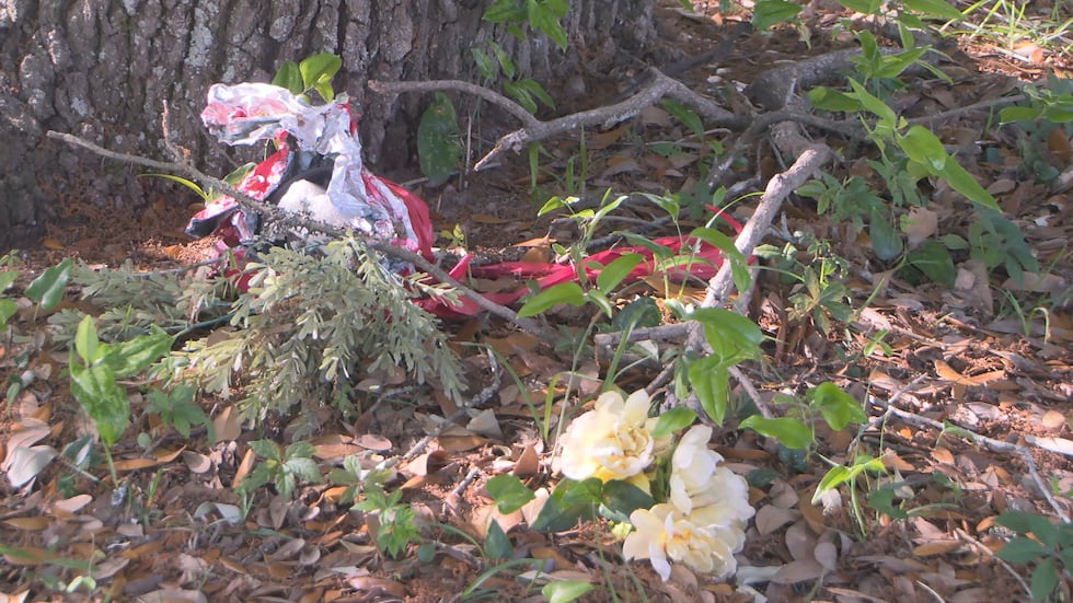 Family Says Grave ‘Disappeared’ in Albany Cemetery; Now They Want Answers
