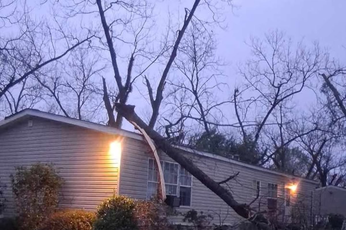 preloaded gallery image