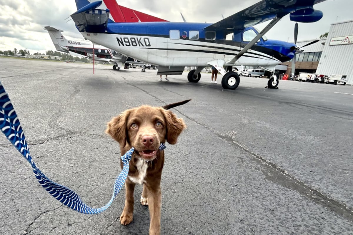 preloaded gallery image