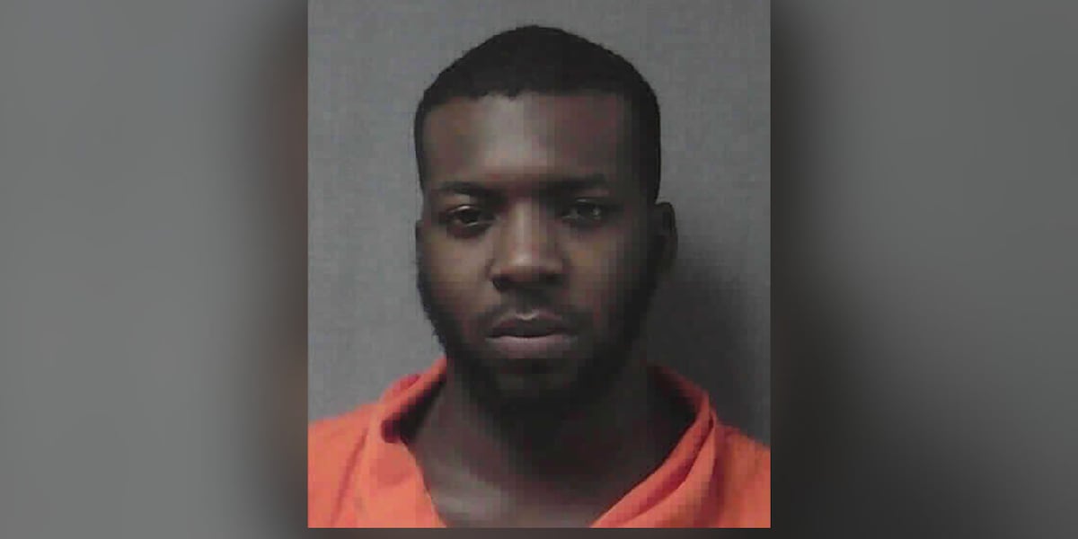 Victims identified in deadly Early County crash, driver faces felony charges