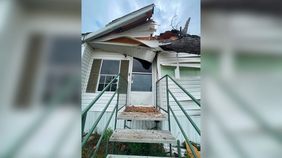 Valdosta woman says tree service dropped tree on her home, then disappeared