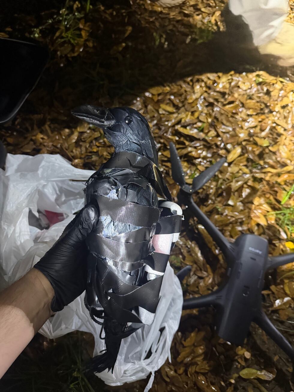 The arrests are the ninth and 10th times suspects were caught trying to smuggle contraband...