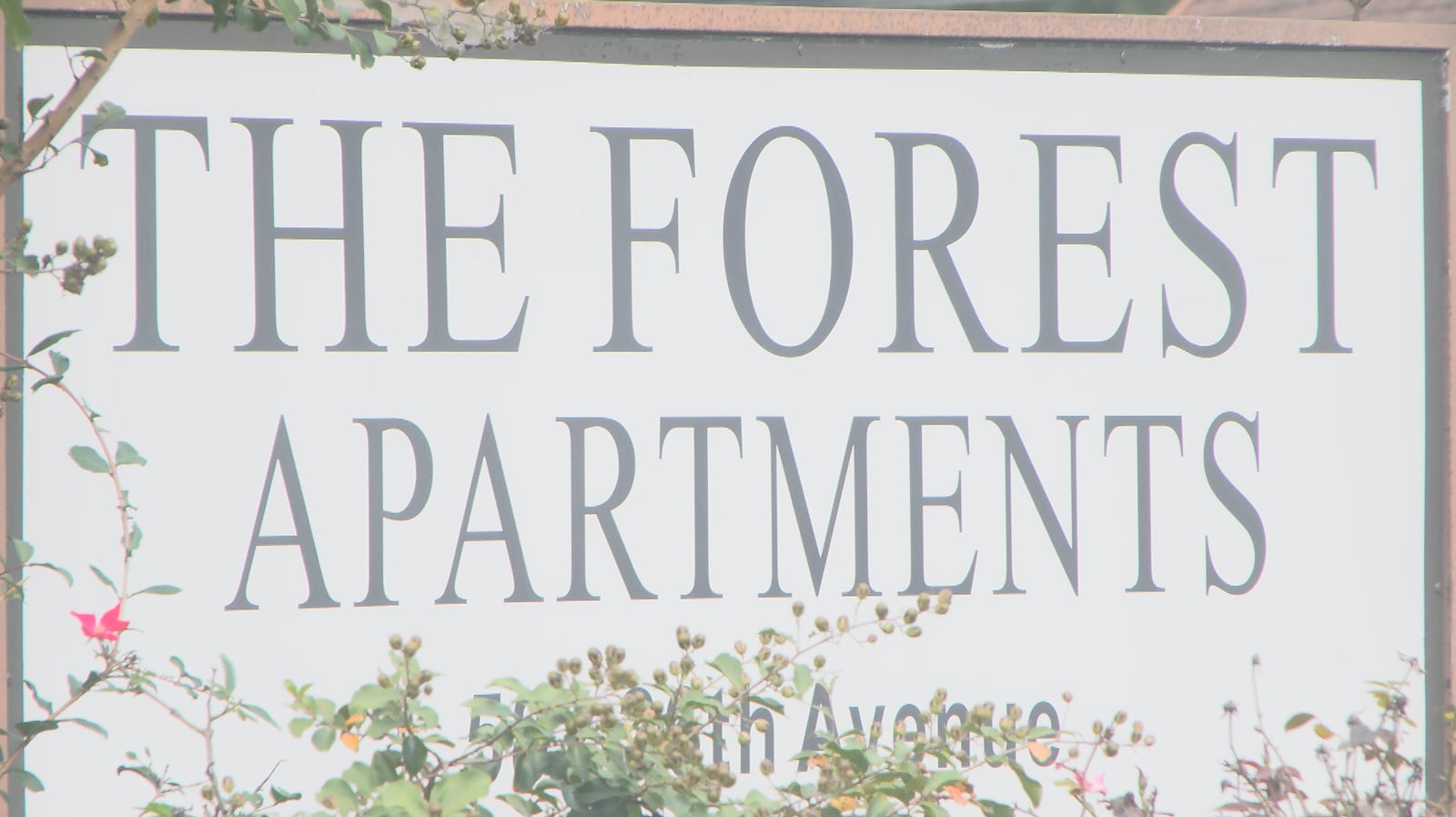 Disabled, veteran tenants in Moultrie petition over hazardous living conditions
