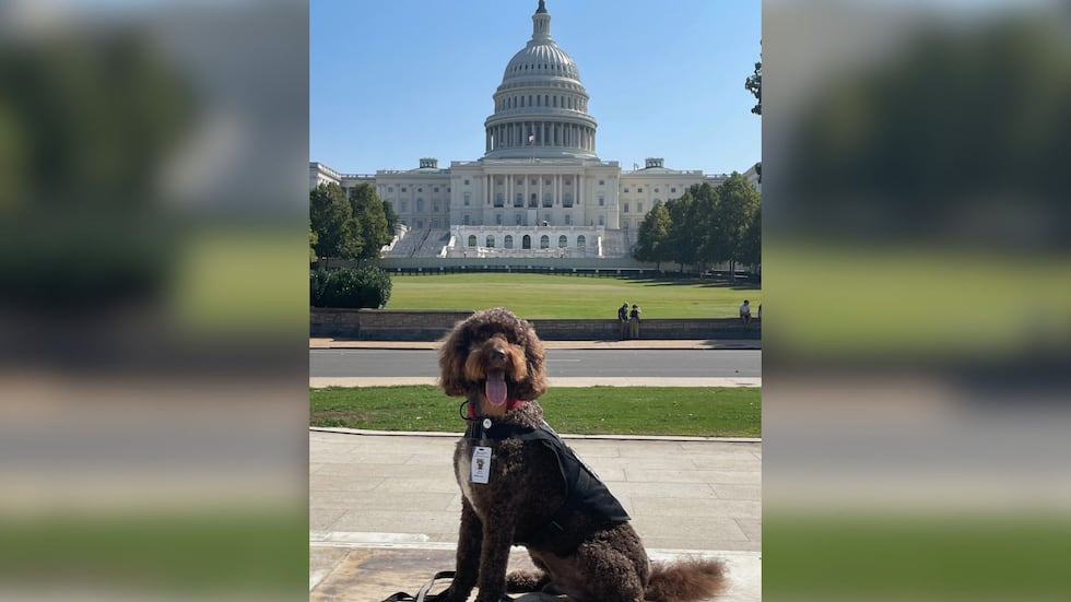 Therapy dog earns resilience award for helping Americus first responders cope with stress