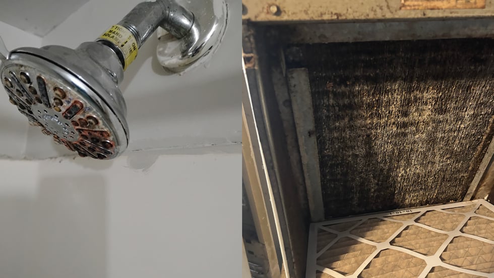 Residents allege mold, holes, unsafe living conditions; calling for repairs and accountability