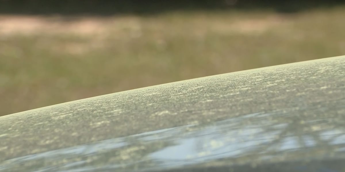 Snow Pollen Experts weigh in as pollen season triggers uptick in allergy cases