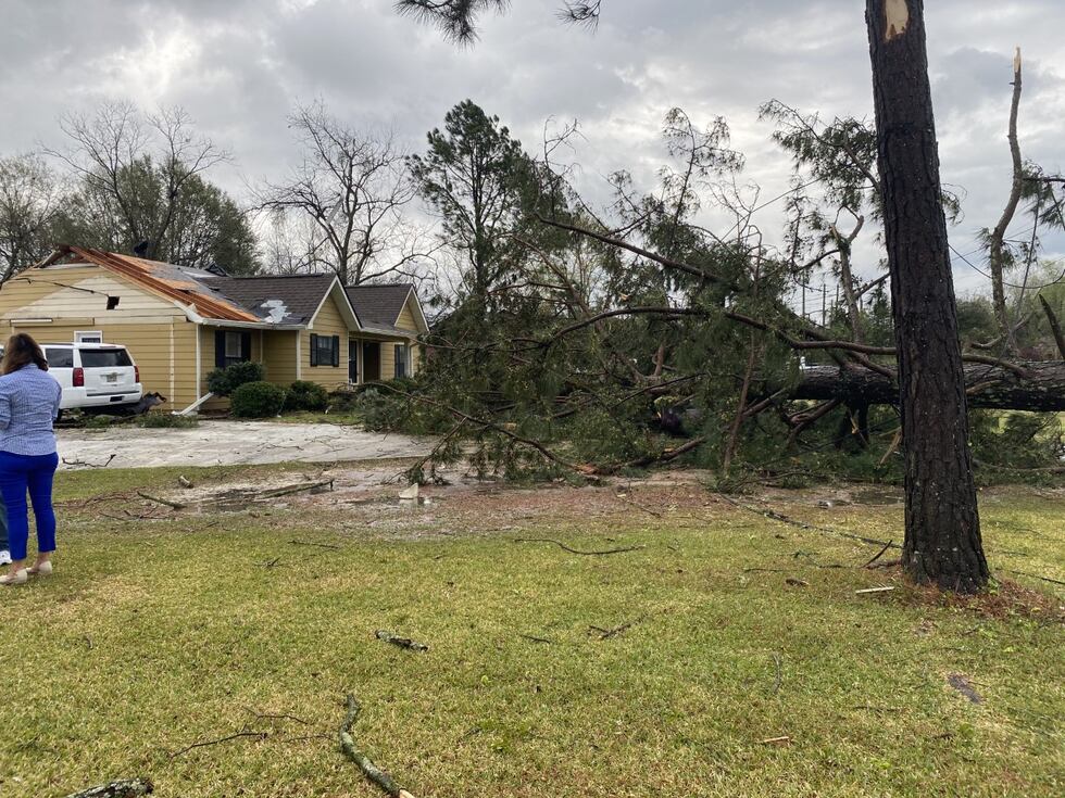 A snapped tree from wind damage Thursday morning in Lee County.