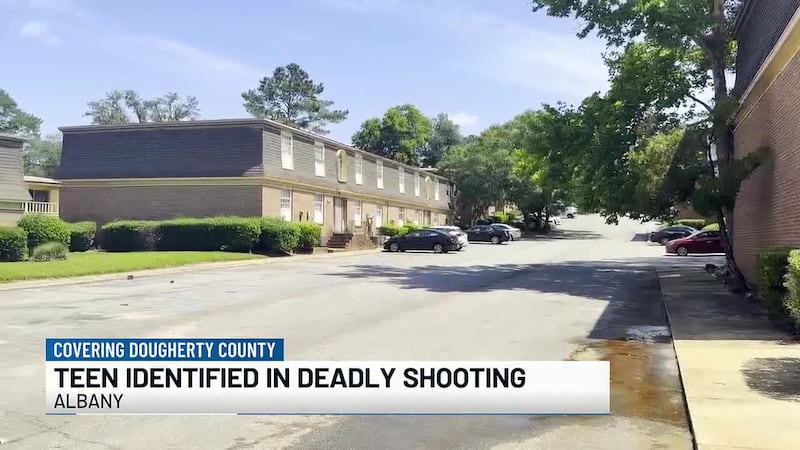 Albany teen found dead inside vehicle, police investigating