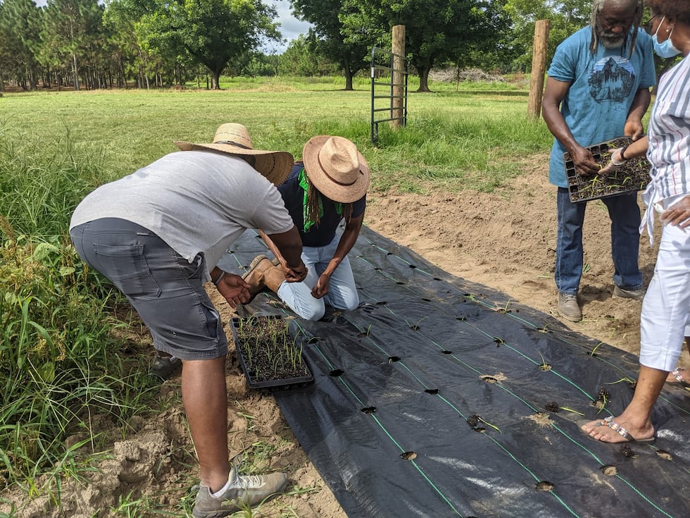 Clinton Vicks grows herbs and some produce for cooking on property.