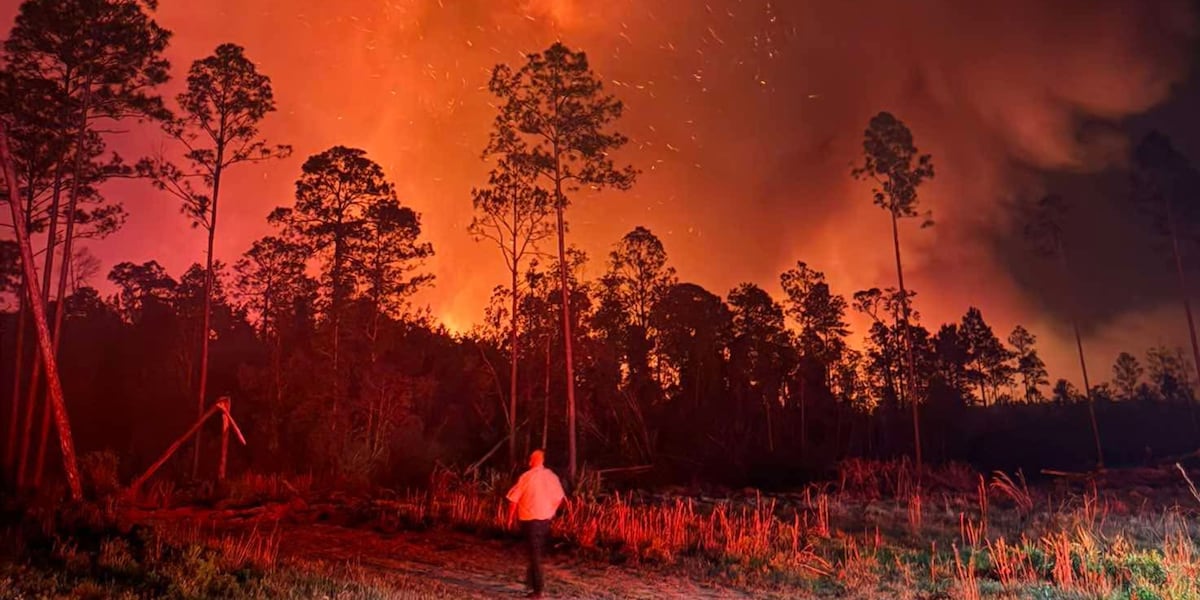 ‘It’s a beast, it’s a monster’: Wildfire explodes to more than 16,000 acres in South Georgia, forcing evacuations