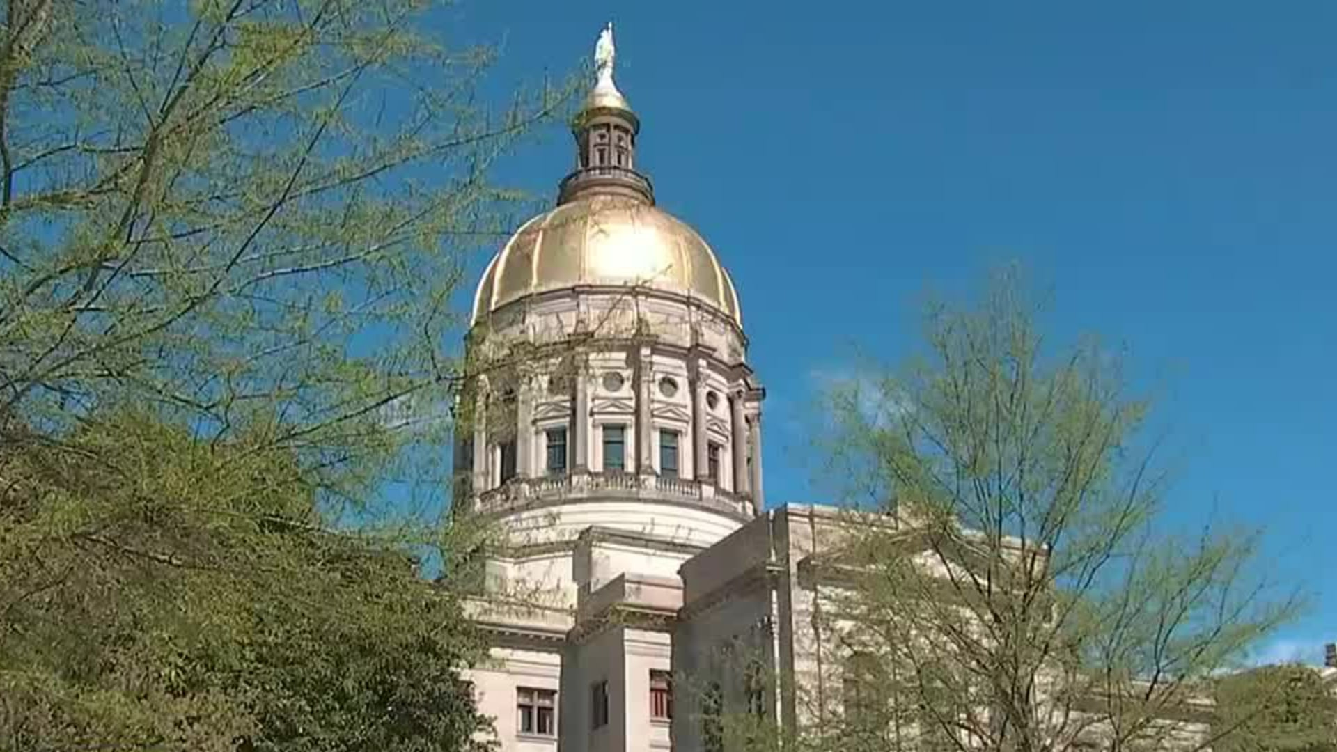 Child sex abuse survivor urges Georgia senators to pass bill