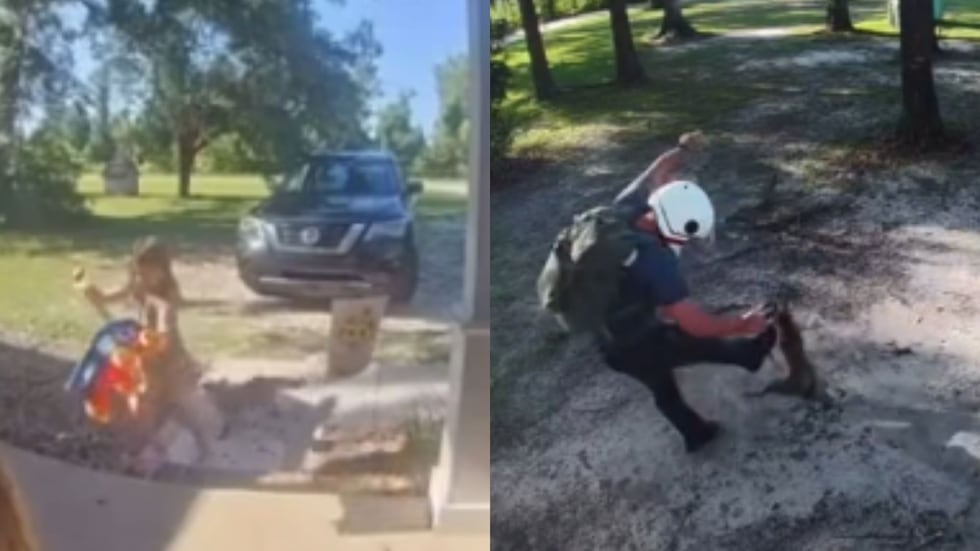 A reportedly rabid fox attacked two people in Lowndes County.